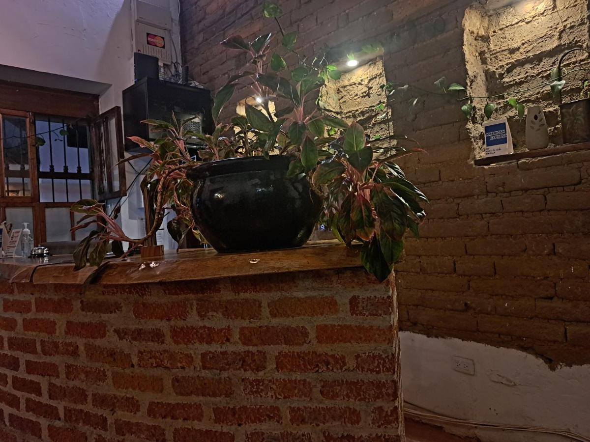 מלון קאלי Terraza De San Antonio מראה חיצוני תמונה
