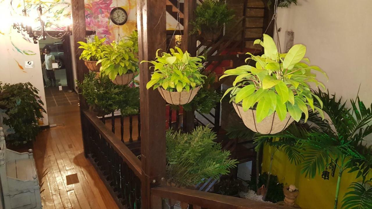 מלון קאלי Terraza De San Antonio מראה חיצוני תמונה